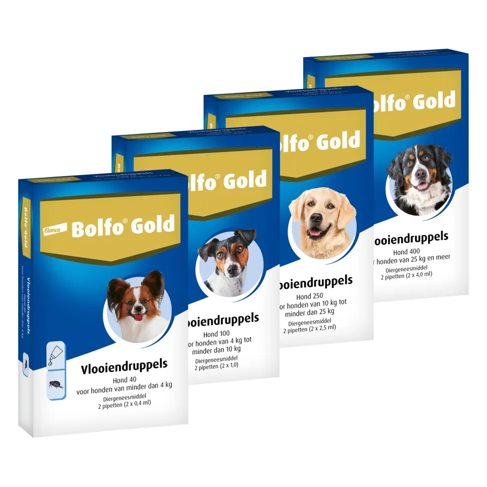 Bolfo Gold Hond