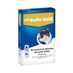 Bolfo Gold Kat