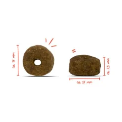 Bosch HPC Insect Adult Hondenvoer - Tapioca & Appel