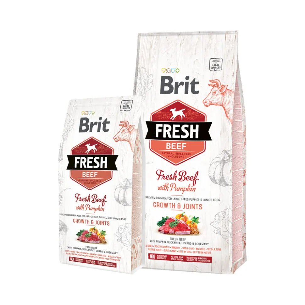 Brit Fresh Beef with Pumpkin - Puppy Large