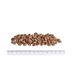 Brit Veterinary Diet Cat - Grain free - Renal