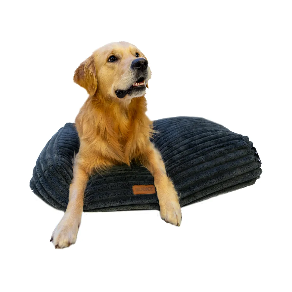 Buckz Corduroy Hondenmand Leo