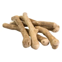 Bunny Nature Interactive Coffeewood