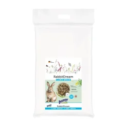 Bunny Nature Rabbit Dream Large Breed