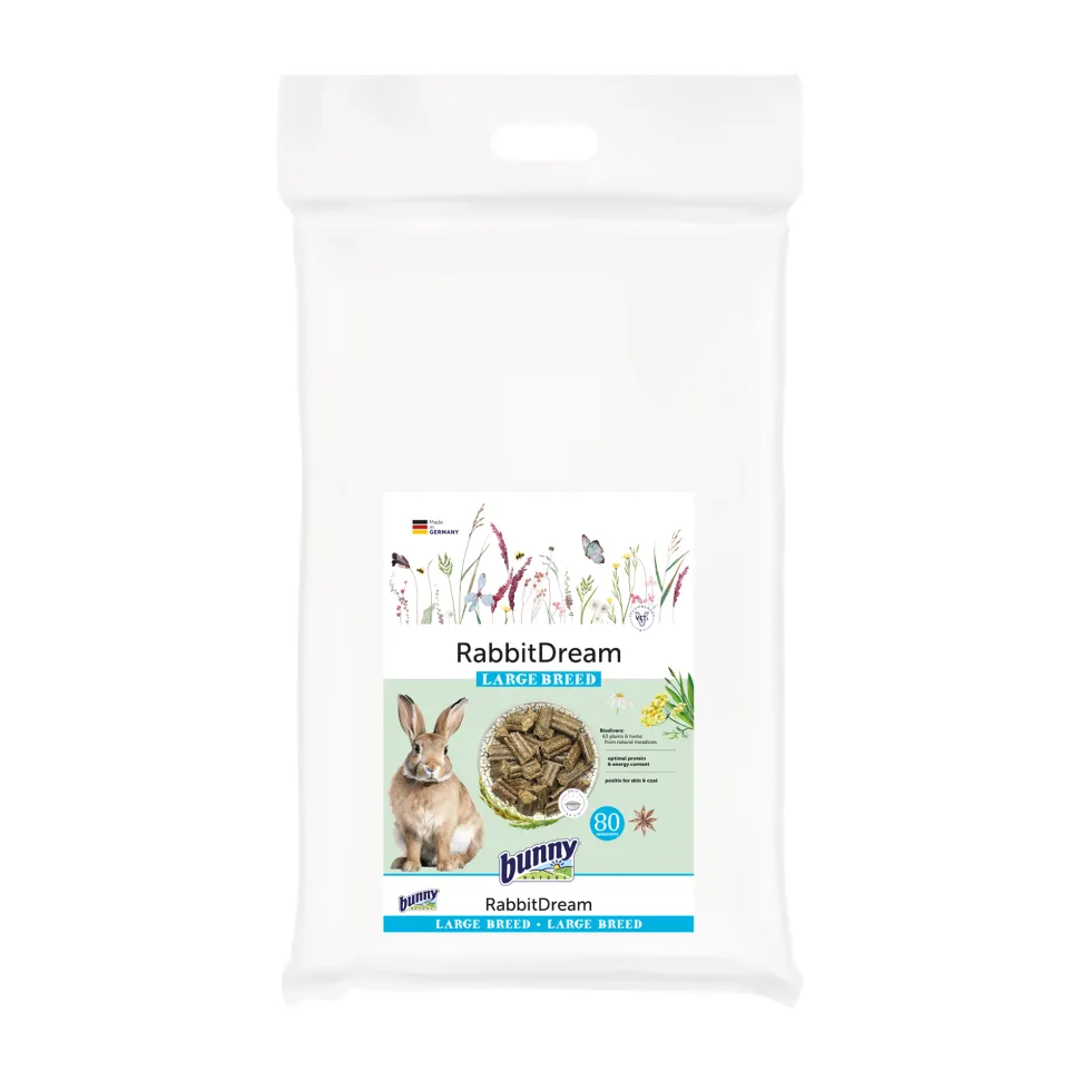 Bunny Nature Rabbit Dream Large Breed