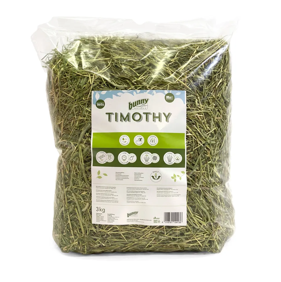Bunny Nature Timothy Hooi