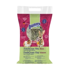 Bunny Nature Vers Gras Hooi