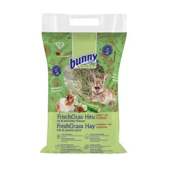 Bunny Nature Vers Gras Hooi