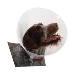 Buster Transparent Classic Collar