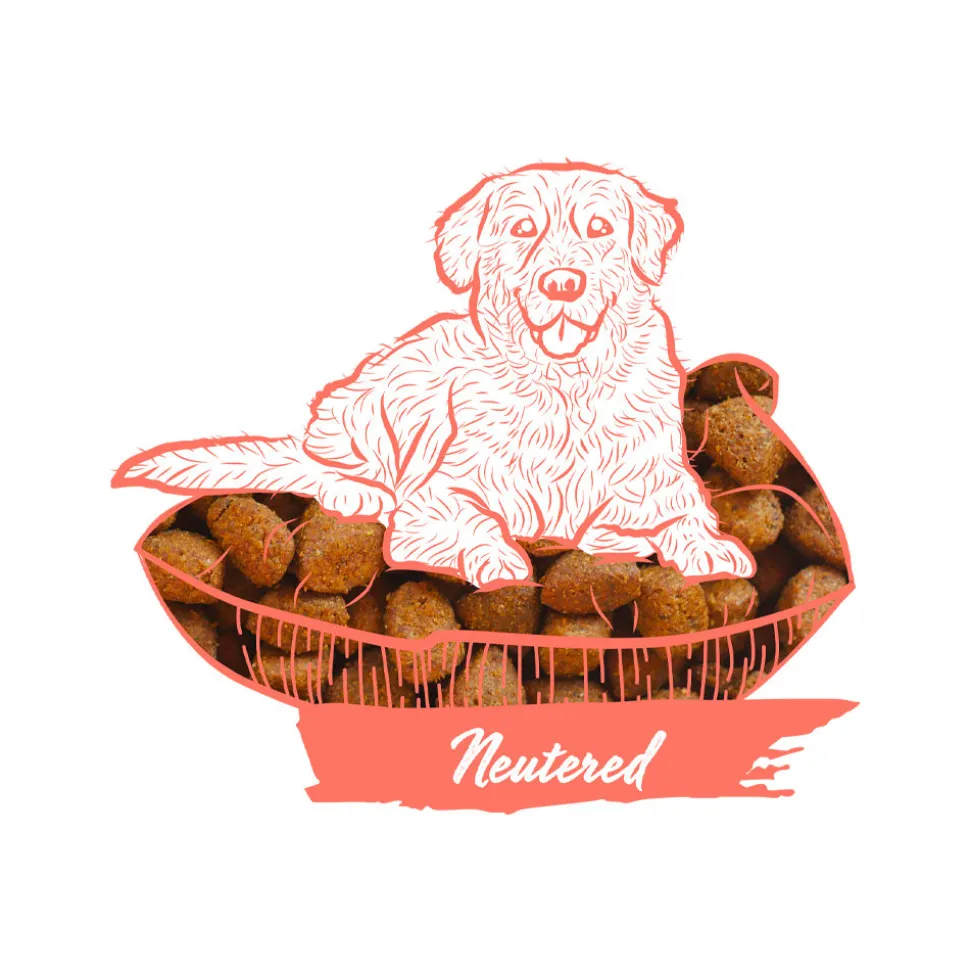 Calibra Dog Expert Nutrition Neutered