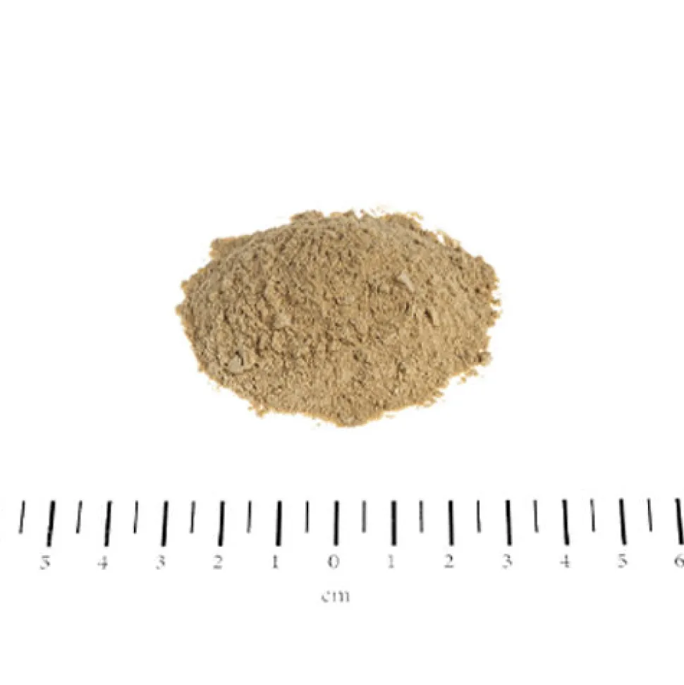 Canina Velox Gewricht-Energie