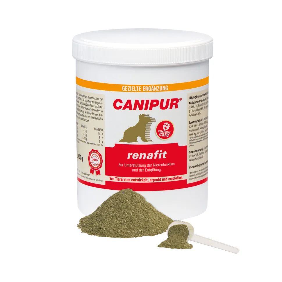 Canipur Renafit