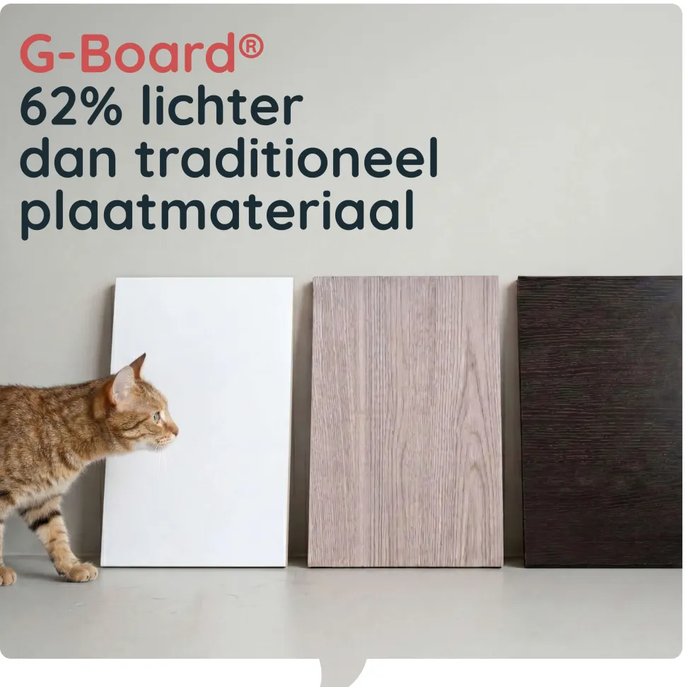 Catchi Leo Kattenbakkast
