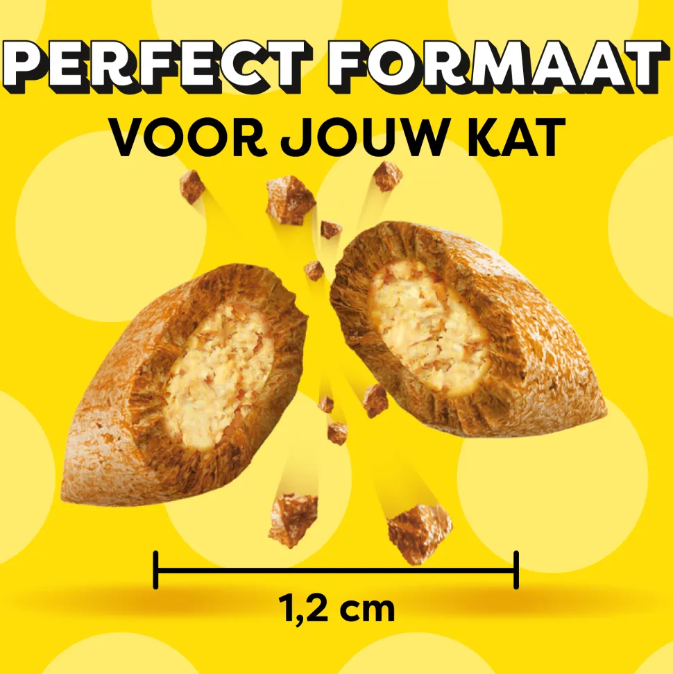 Catisfactions Kattensnoepjes