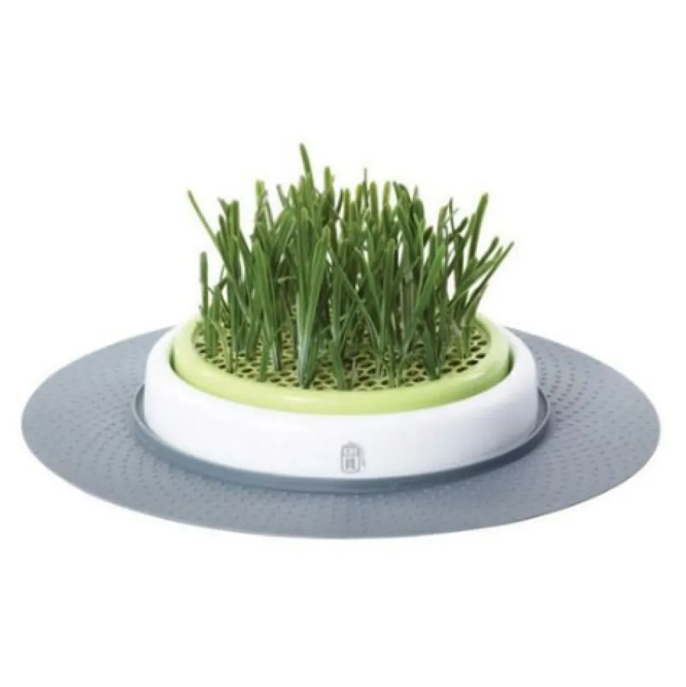 Catit Senses Grass Garden
