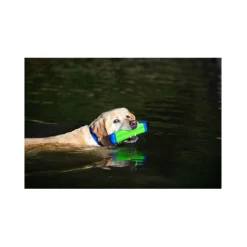 Chuckit! Amphibious Bumper