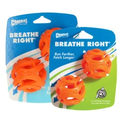 Chuckit! Breathe Right Fetch Ball
