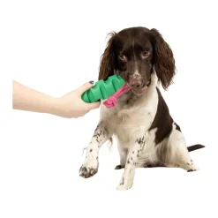 Coockoo Groovy Grip Hondenspeelgoed