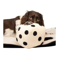 Coockoo Roll the Dice Hondenspeelgoed