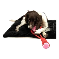 Coockoo Swing/Throw Me Bal met Touwlus