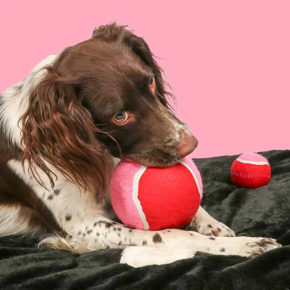 Coockoo Tennisbal
