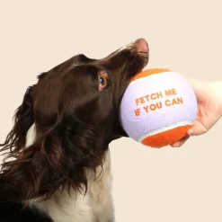 Coockoo Tennisbal