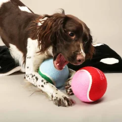 Coockoo Tennisbal