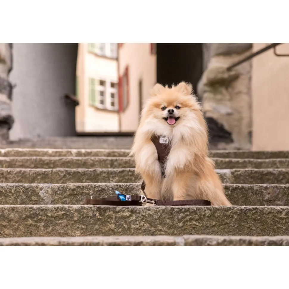 Curli Adjustable Leash Nylon