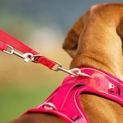 Curli Adjustable Leash Nylon