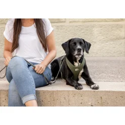 Curli Belka Comfort Harness