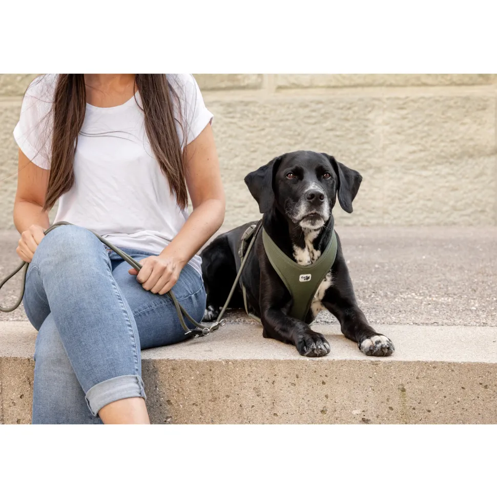 Curli Belka Comfort Harness