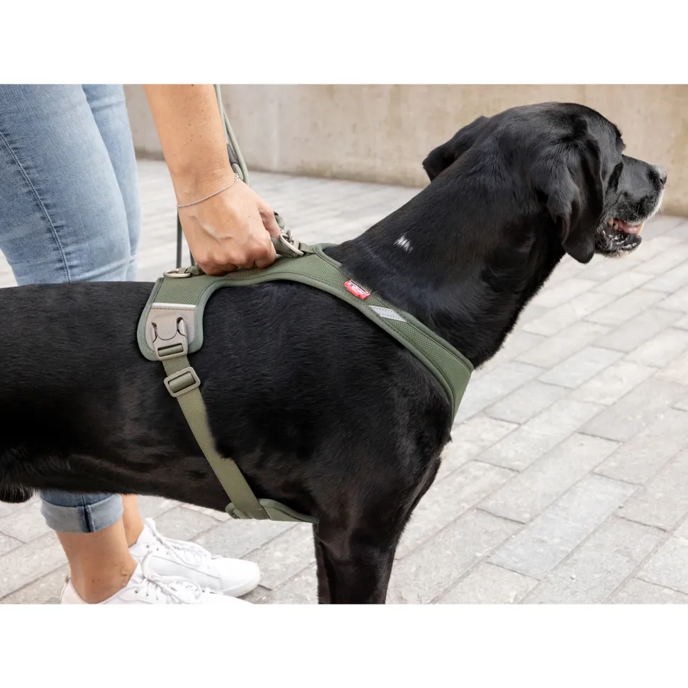 Curli Belka Comfort Harness