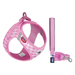 Curli Vest Harness Air-Mesh & Leash Puppy Set