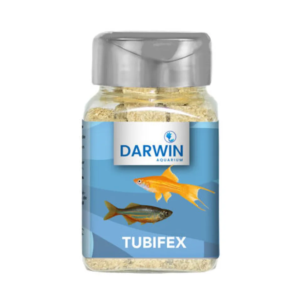 Darwin Tubifex