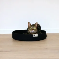 D&D Jess Kattenmand