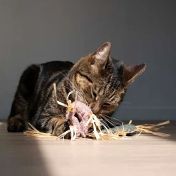 D&D Kattenspeeltje Milly