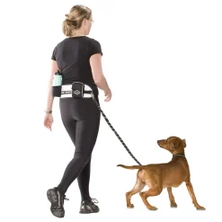 D&D Sports Active Walker