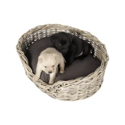 51 Degrees North Rattan Basket