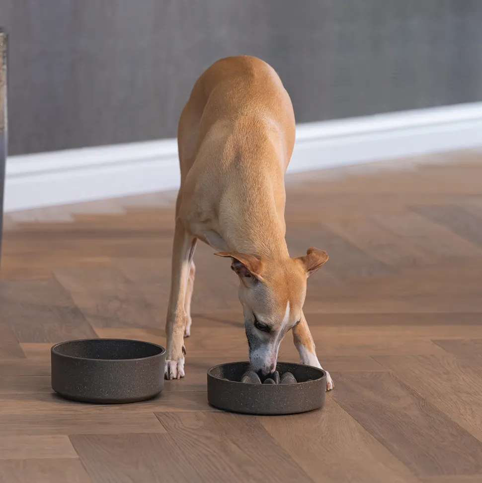 Designed by Lotte Bamboo Anti-Schrokbak Pom - Hond
