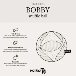 District 70 Bobby Snuffle Ball