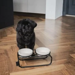 District 70 Butler Voerbakstandaard - Hond