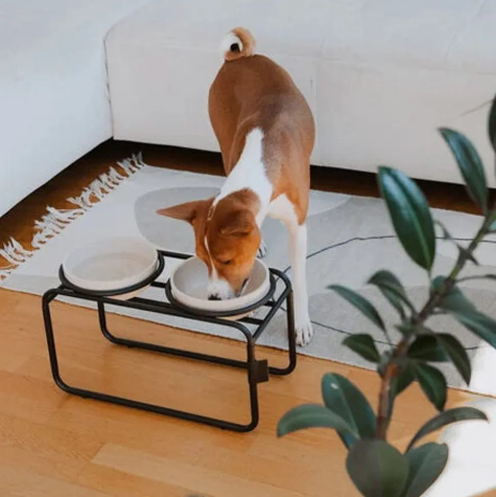 District 70 Butler Voerbakstandaard - Hond