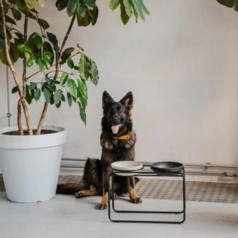 District 70 Butler Voerbakstandaard - Hond