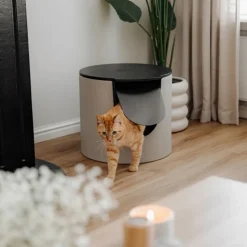 District 70 Fuse Design Kattenbak