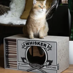 District 70 Whisker Krabkarton
