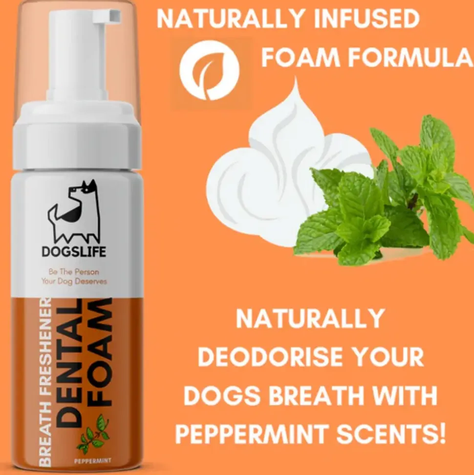 DogsLife Dental Foam