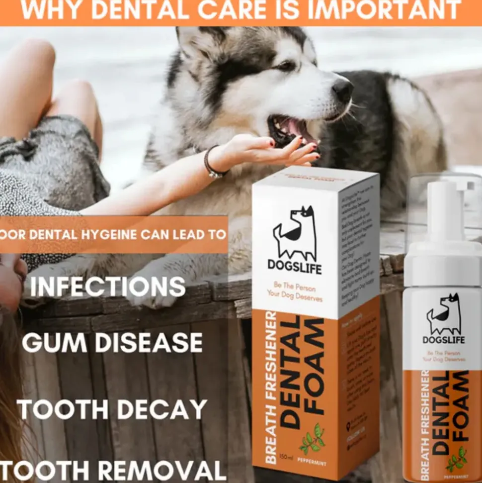 DogsLife Dental Foam