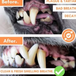 Dogslife Dental Wipes