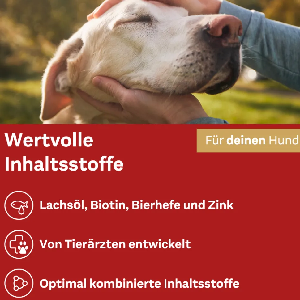Doppelherz Huid & Vacht Complex voor Honden