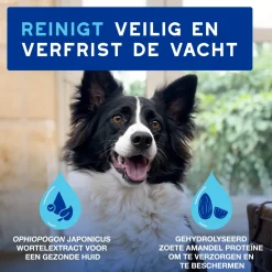 Douxo Spa Dog Mousse